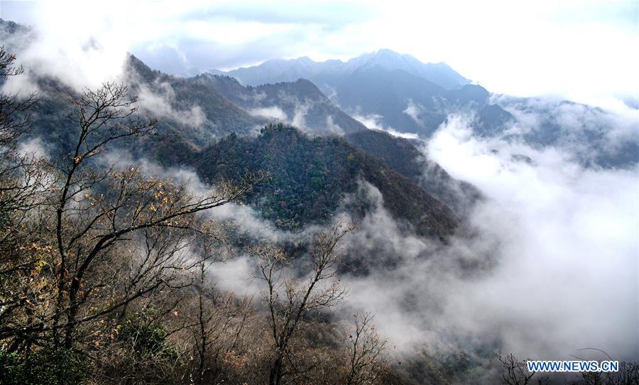 CHINA-SHAANXI-GUIGULING-VIEWS (CN)