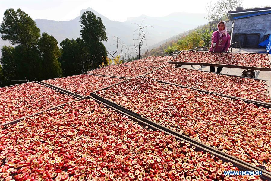 #CHINA-SHANDONG-HAWTHORN INDUSTRY (CN)