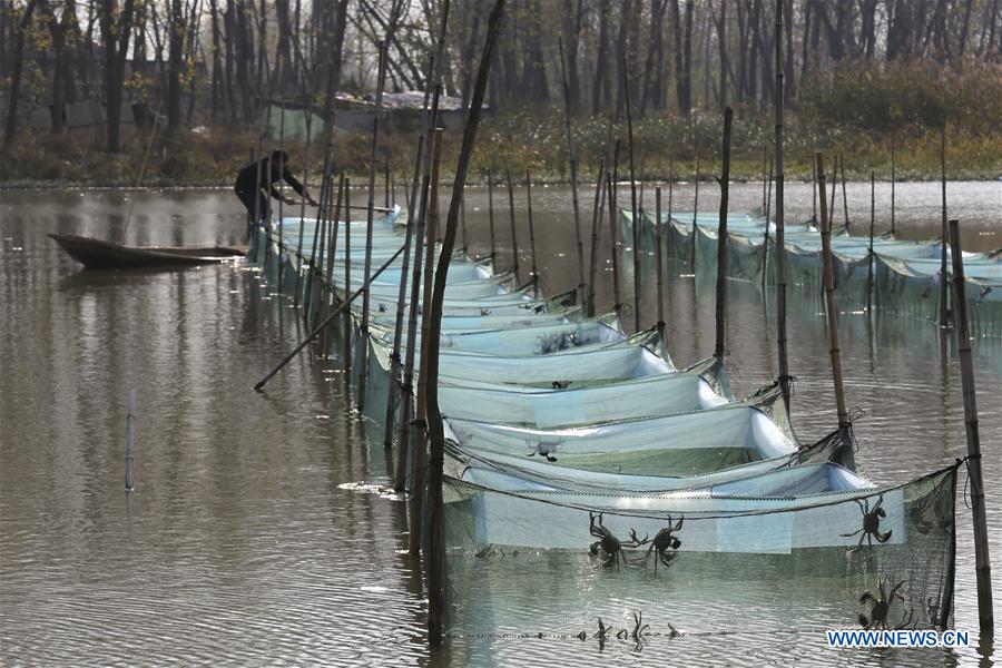 #CHINA-JIANGSU-HUAIAN-AQUACULTURE-CRAB (CN)