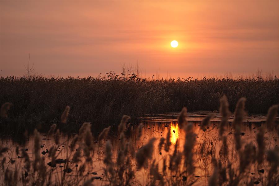 CHINA-HEBEI-BAIYANGDIAN-SUNRISE (CN)