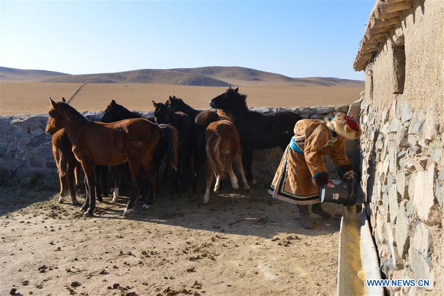 CHINA-INNER MONGOLIA-RACE HORSE (CN)