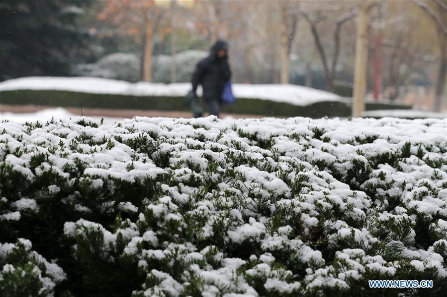 #CHINA-SHANDONG-SNOW (CN)