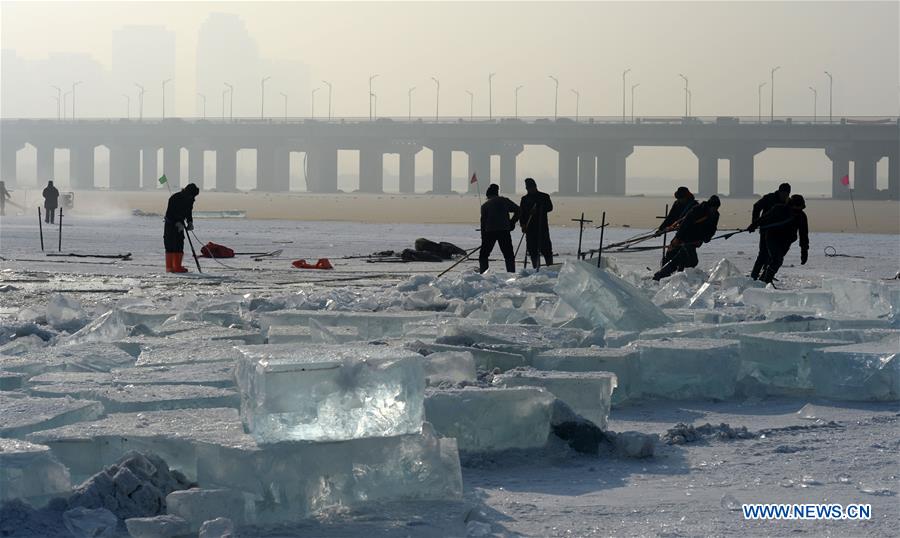 CHINA-HEILONGJIANG-HARBIN-ICE COLLECTING (CN)