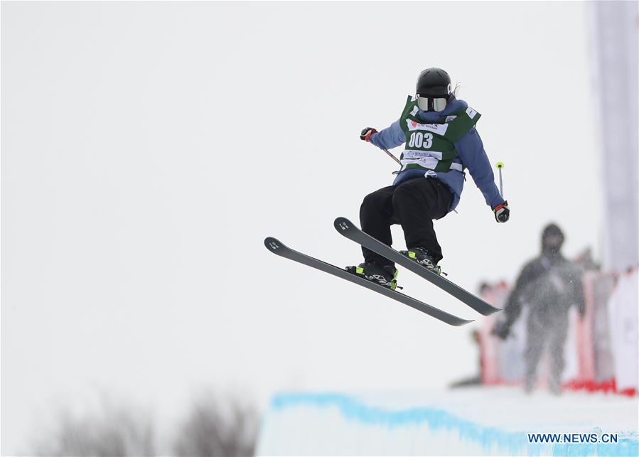 (SP)CHINA-HEBEI-CHONGLI-FIS FREESKI SNOWBOARD WORLD CUP