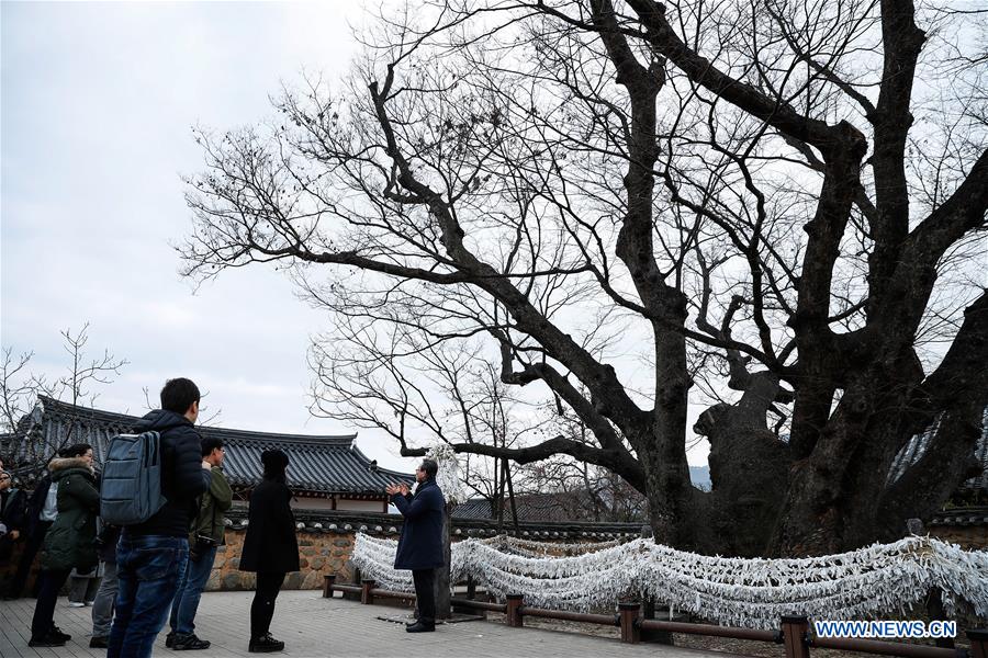 SOUTH KOREA-GYEONGSANGBUK-DO-ANDONG-HAHOE VILLAGE