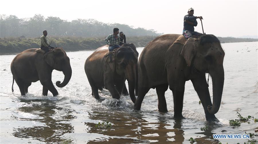 NEPAL-CHITWAN-TOURISM-DAILY LIFE