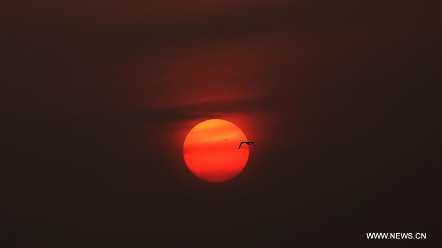 NEPAL-CHITWAN-YEAR 2018-LAST SUNSET