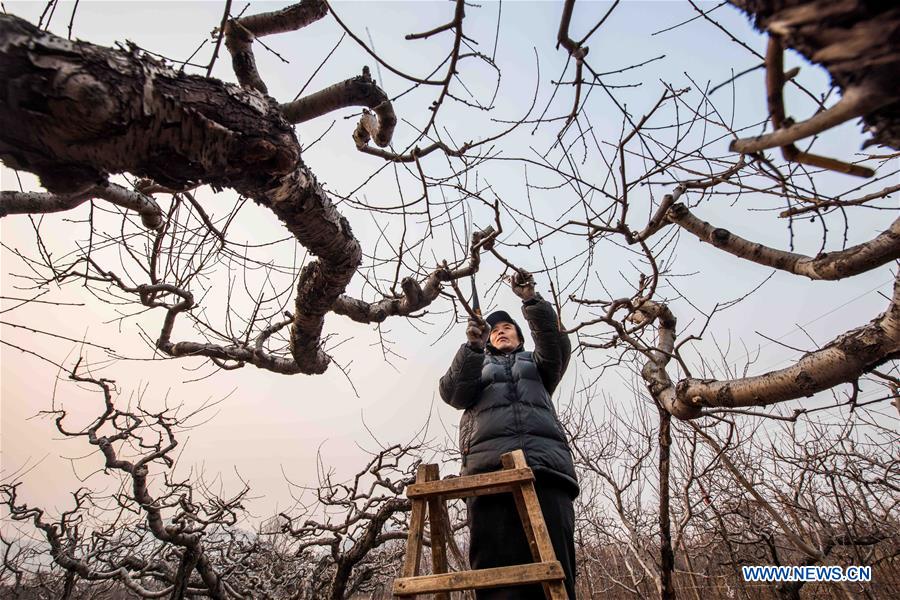 XINHUA PHOTOS OF THE DAY