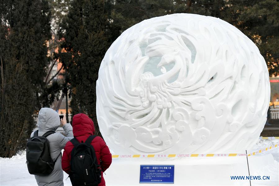 CHINA-HEILONGJIANG-HARBIN-COLLEGE STUDENT-SNOW SCULPTURE COMPETITION (CN)