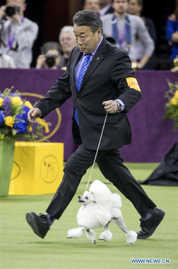 U.S-NEW YORK-DOG SHOW