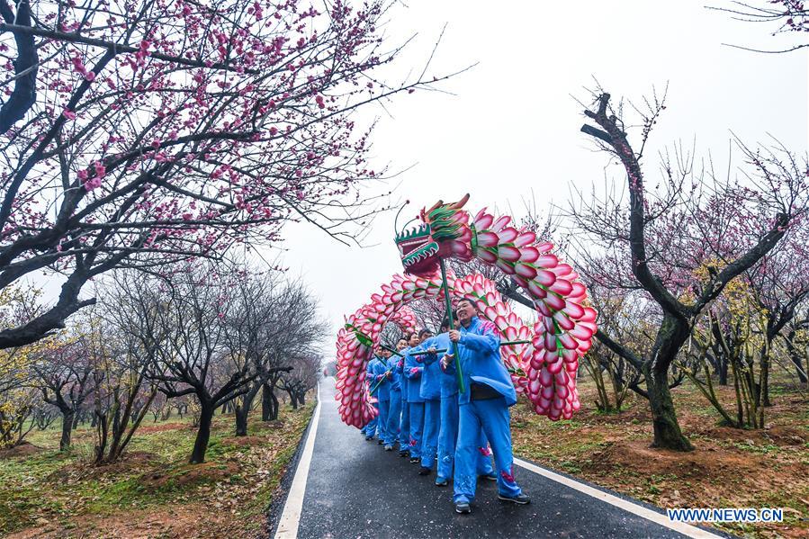 CHINA-ZHEJIANG-CHANGXING-PLUM BLOSSOM (CN)