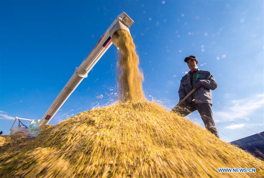 CHINA-RURAL DEVELOPMENT (CN)