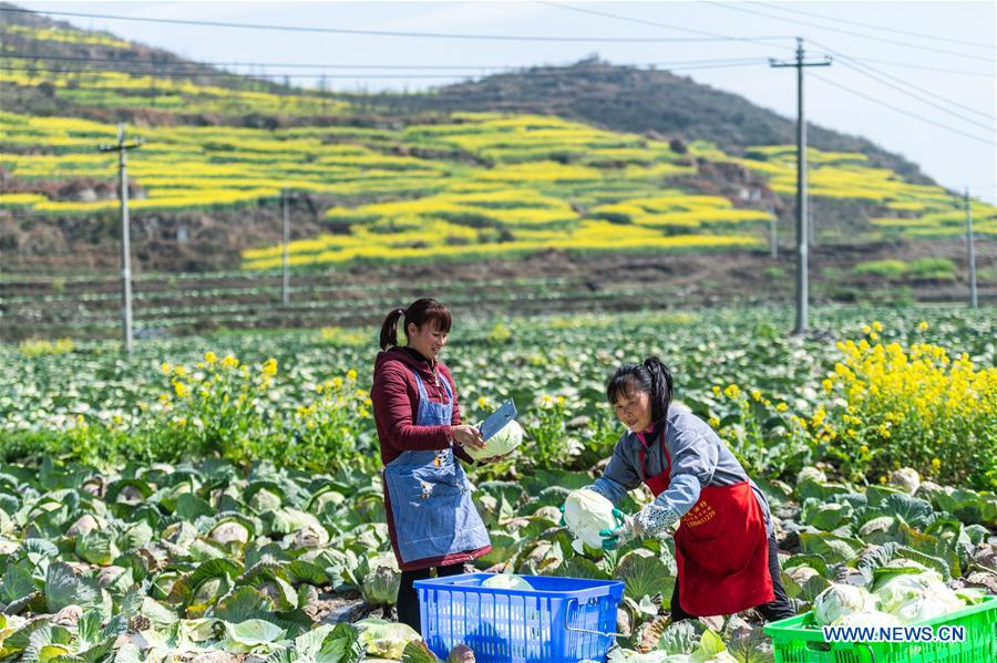 CHINA-GUIZHOU-LIUPANSHUI-POVERTY ALLEVIATION (CN)