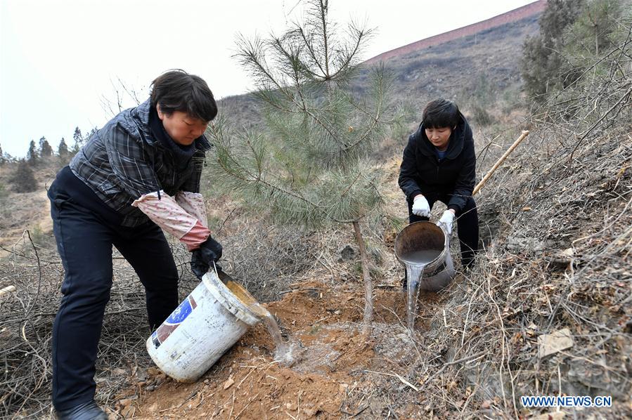 CHINA-PINGDING-TOURISM-POVERTY AllEVIATION(CN)