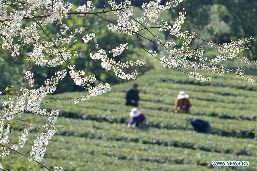 #CHINA-SPRING-FARMING (CN)