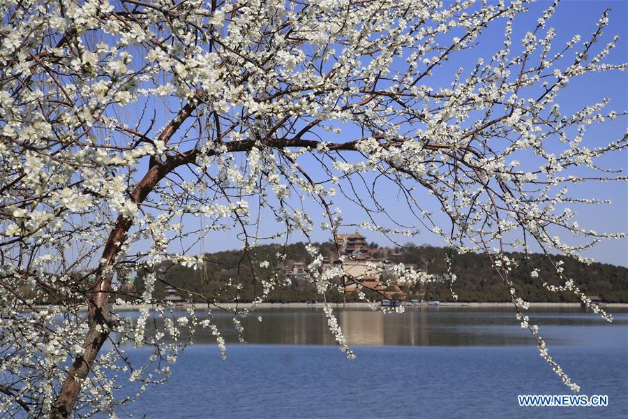 #CHINA-BEIJING-SUMMER PALACE-SCENERY (CN)