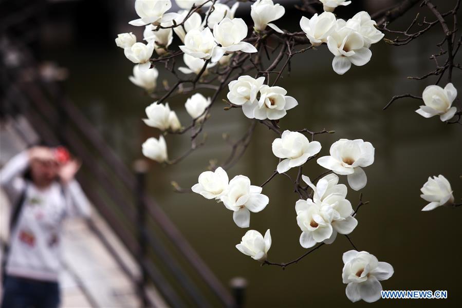 #CHINA-SPRING-FLOWERS (CN)