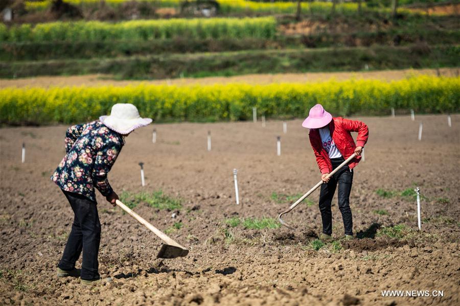 CHINA-CHUNFEN-FARM WORK(CN)