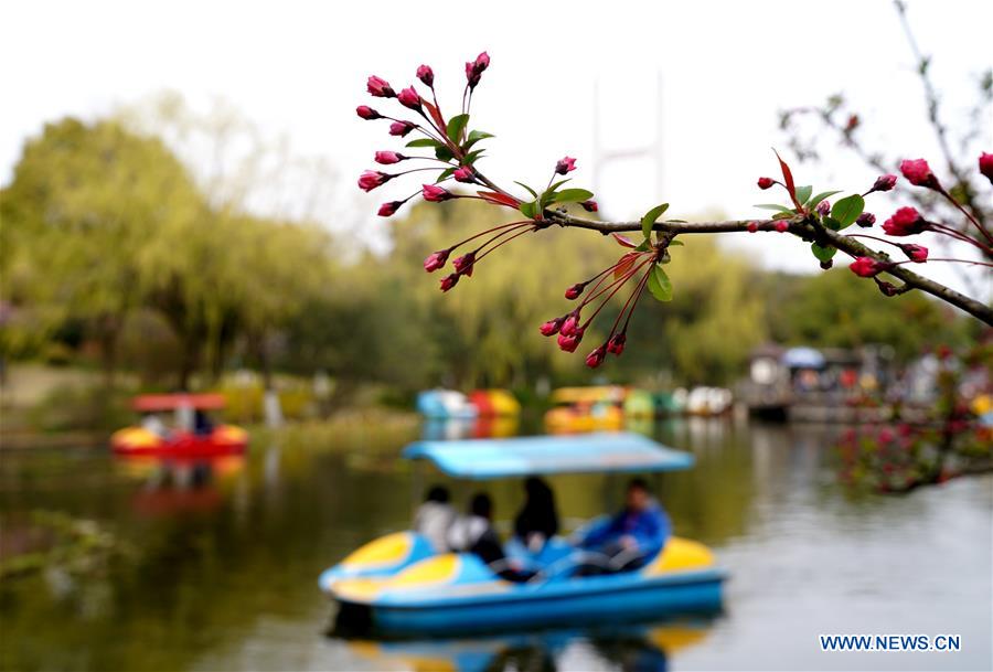 CHINA-SHANGHAI-SPRING SCENERY-BLOSSOMS (CN)