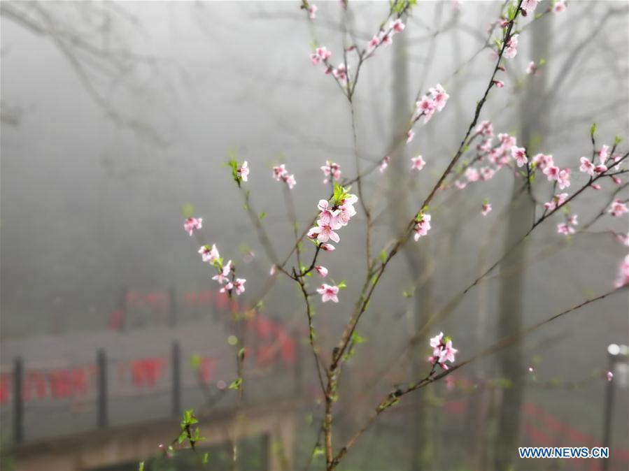 CHINA-ANHUI-HUANGSHAN-SCENERY (CN)