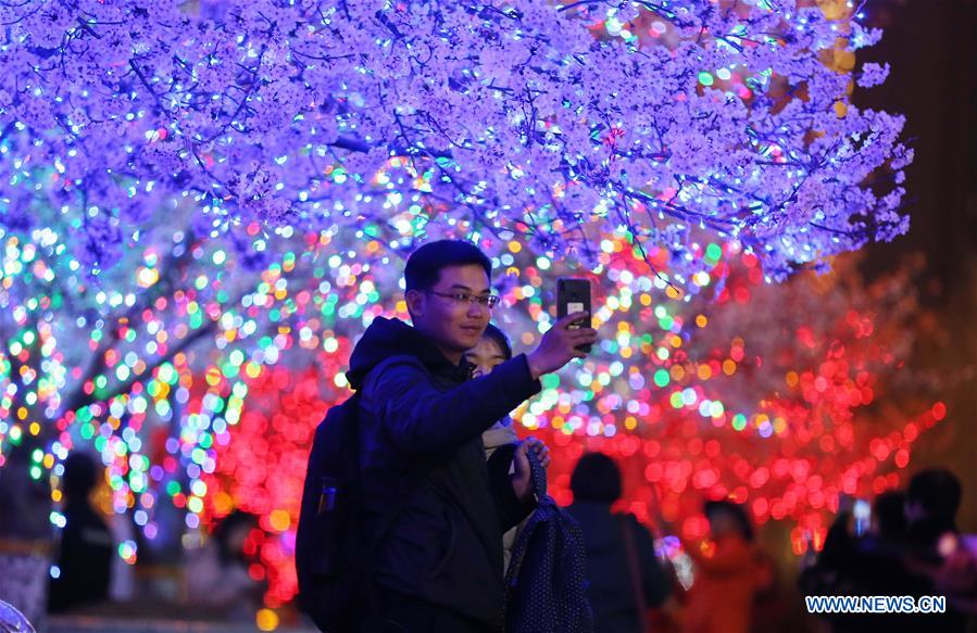 #CHINA-SHANDONG-WEIFANG-CHERRY BLOSSOMS (CN)