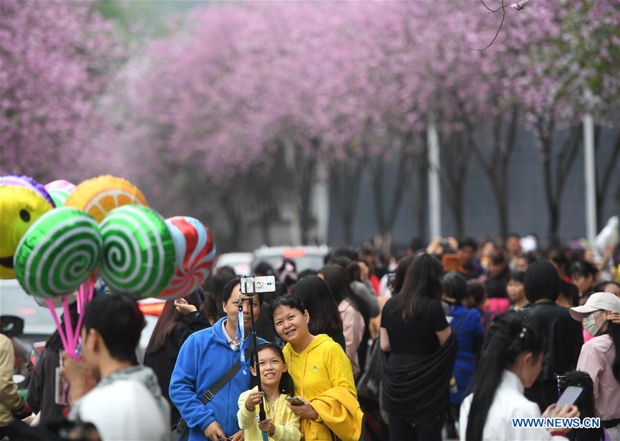 #CHINA-GUANGXI-LIUZHOU-FLOWERS (CN)