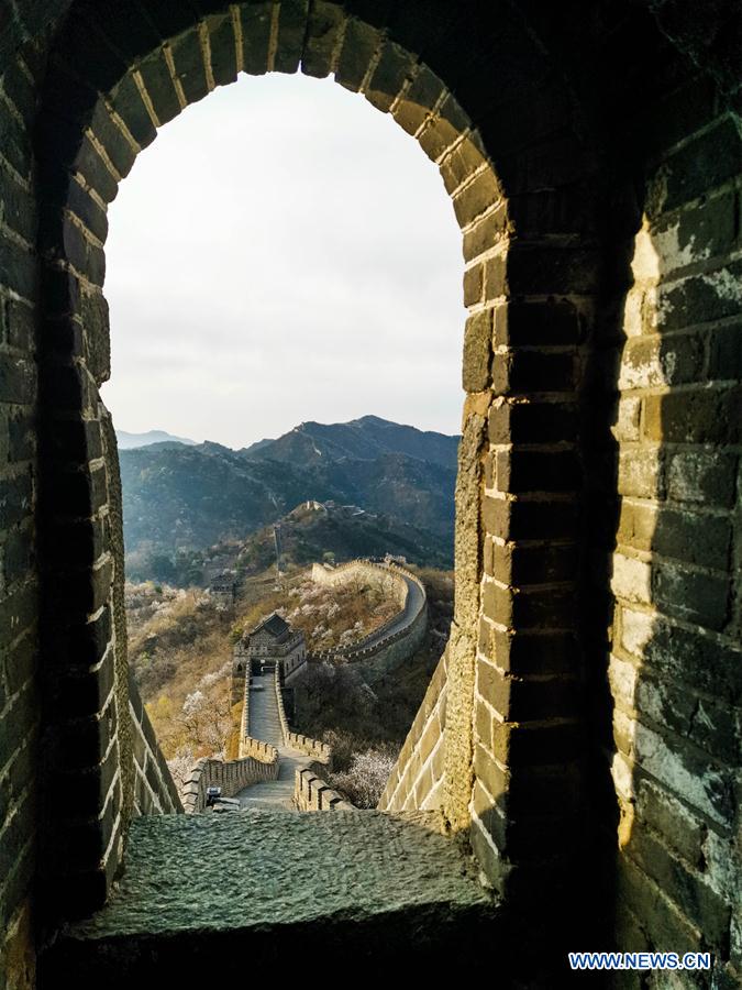 (BeijingCandid)CHINA-BEIJING-GREAT WALL-SPRING SCENERY (CN)