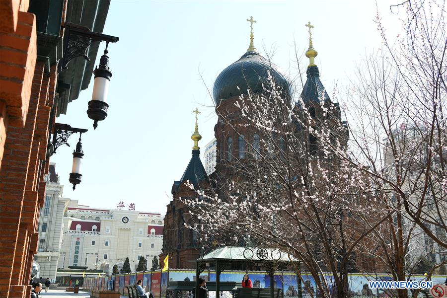 CHINA-HARBIN-SPRING (CN)