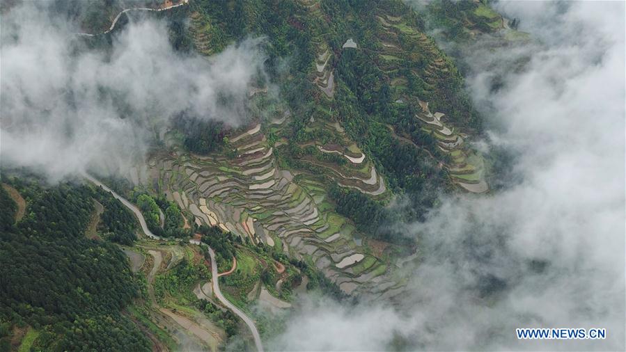 CHINA-GUIZHOU-LIPING-TERRACED FIELDS (CN)