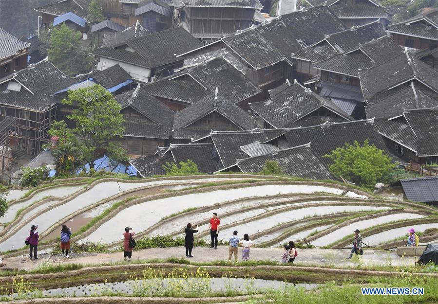 #CHINA-GUIZHOU-CONGJIANG-TERRACED FIELD (CN)