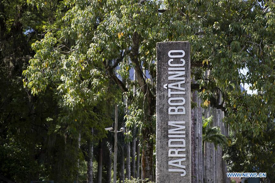 BRAZIL-RIO DE JANEIRO-BOTANICAL GARDEN