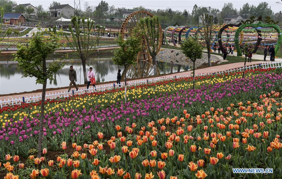 CHINA-SHAANXI-LUONAN-TULIP-TOURISM(CN)