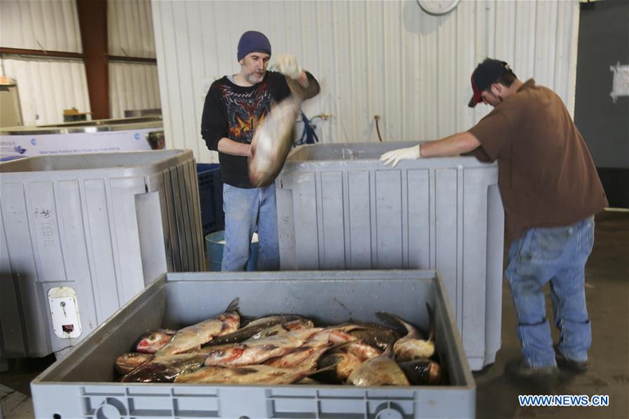 U.S.-KENTUCKY-WICKLIFFE-FISHERIES INDUSTRIAL PARK-OPENING