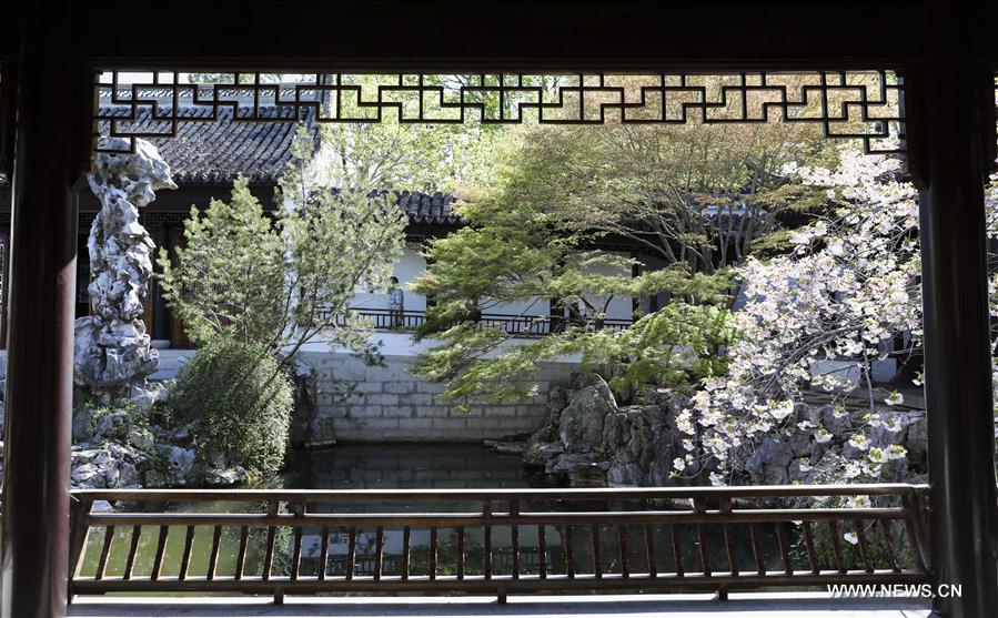 U.S.-NEW YORK-CHINESE SCHOLAR'S GARDEN-SPRING SCENERY