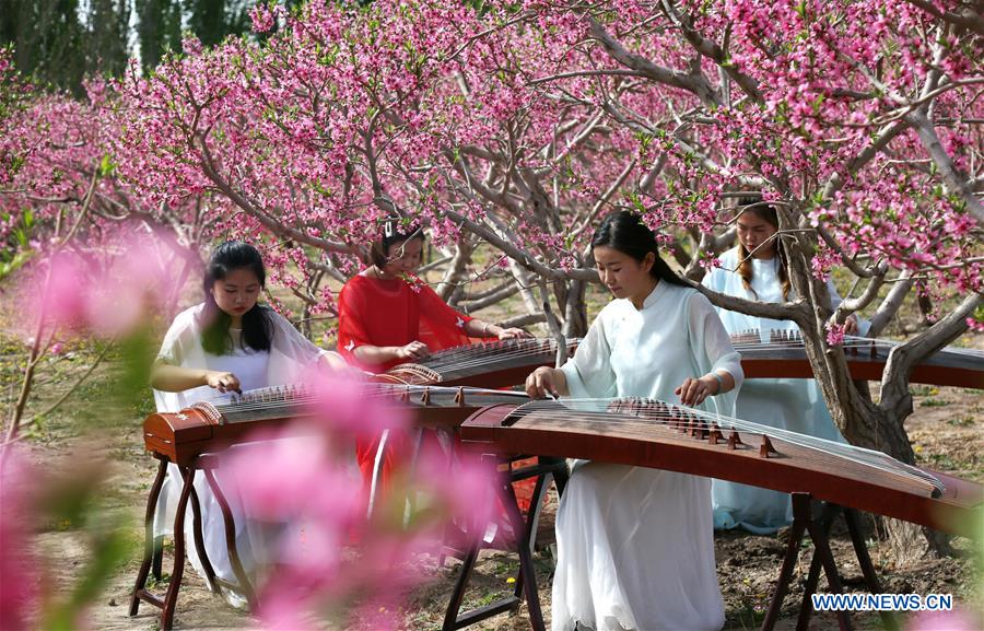 #CHINA-GANSU-DUNHUANG-PEACH BLOSSOM (CN)