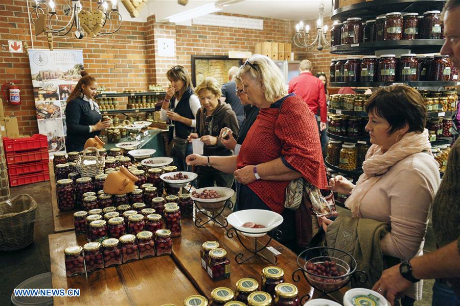 SOUTH AFRICA-CAPE TOWN-OLIVE FESTIVAL