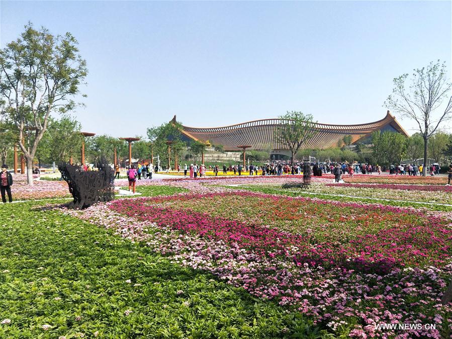 (BeijingCandid)CHINA-BEIJING-HORTICULTURAL EXPO-FLOWERS (CN)