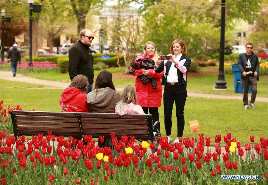 U.S.-MICHIGAN- HOLLAND-TULIP TIME FESTIVAL