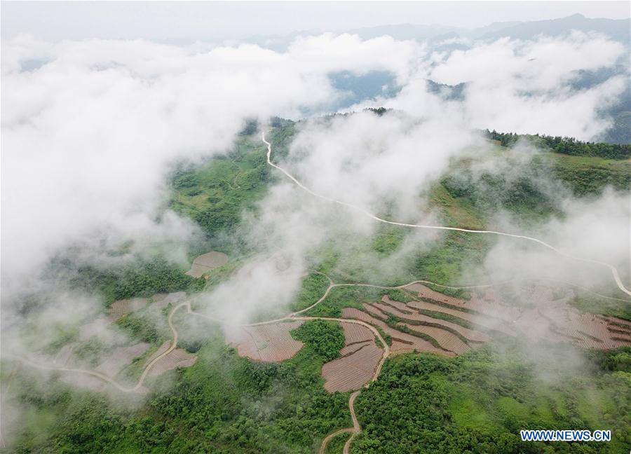 #CHINA-HUBEI-XUAN'EN-TERRACED FIELD (CN)