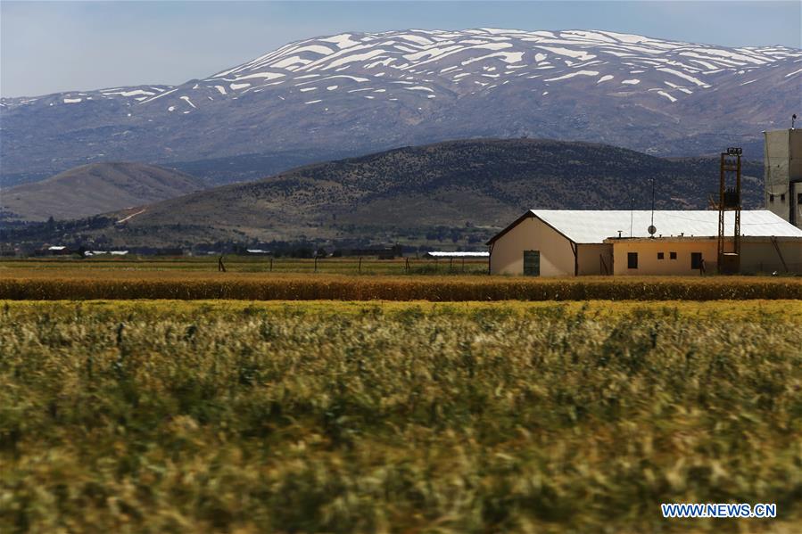 LEBANON-BEKAA VALLEY-SCENERY