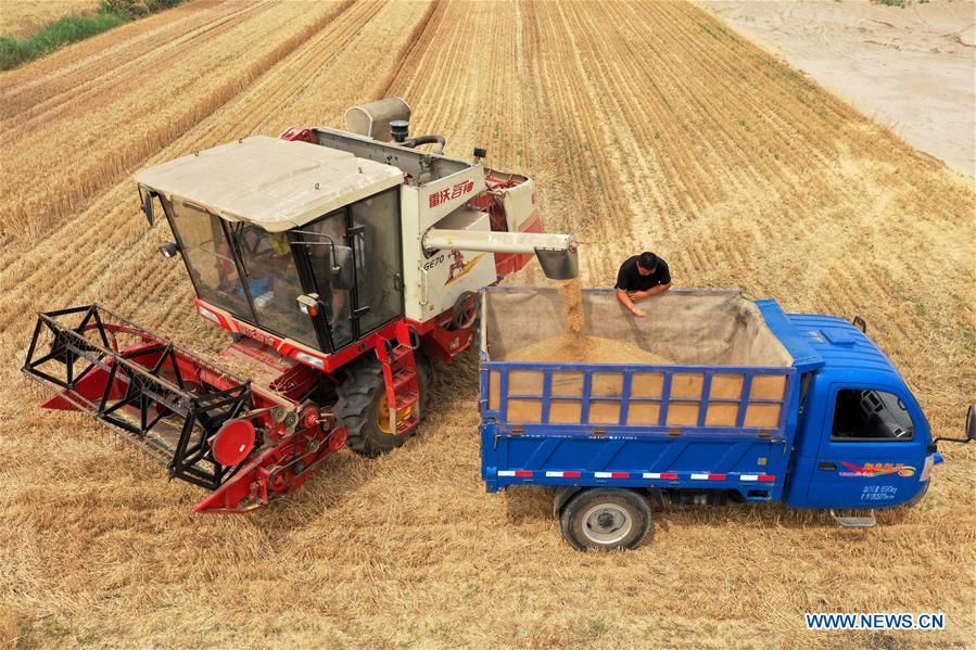 CHINA-HEBEI-WHEAT-HARVEST (CN)