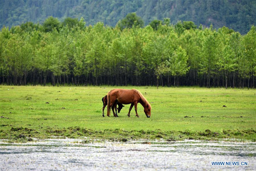 (InTibet)CHINA-TIBET-ECOLOGICAL PROTECTION (CN)