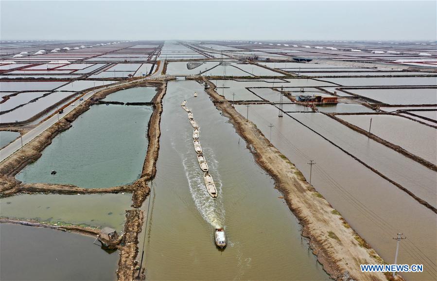 CHINA-HEBEI-CAOFEIDIAN-SEA SALT-HARVEST (CN)