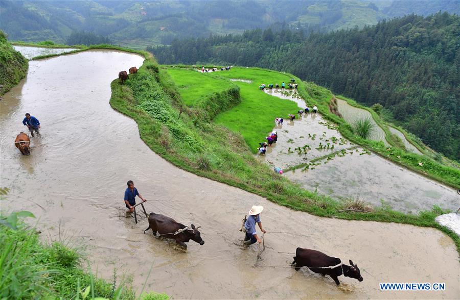 XINHUA PHOTOS OF THE DAY