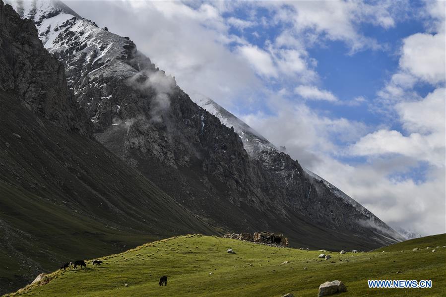 CHINA-XINJIANG-TAXKORGAN-PASTURE-SCENERY (CN)