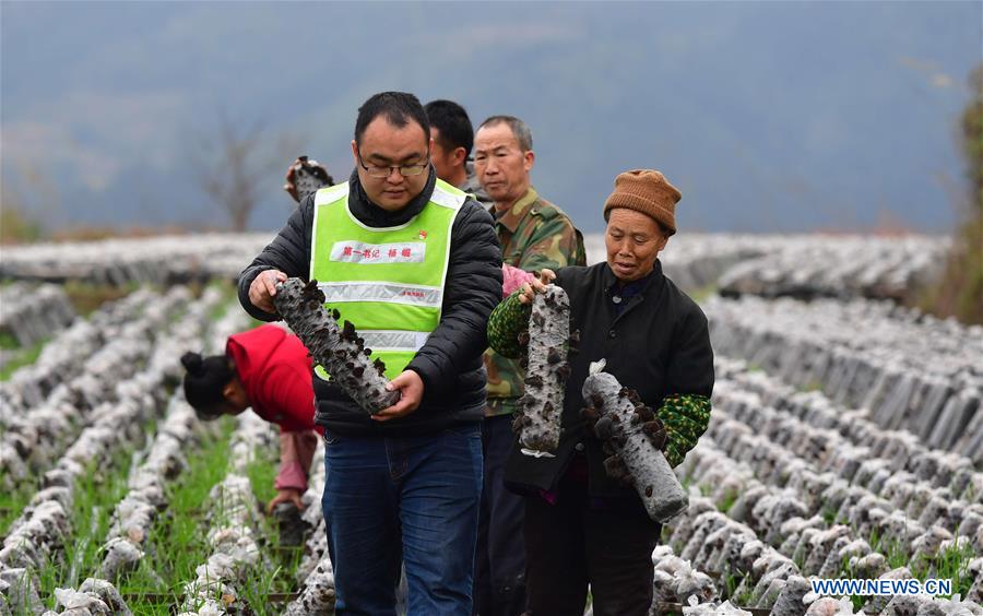 CHINA-GUANGXI-RONGSHUI-POVERTY ALLEVIATION (CN)