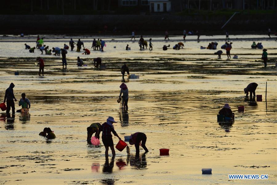 #CHINA-HAINAN-QIONGHAI-BEACHCOMBING(CN)