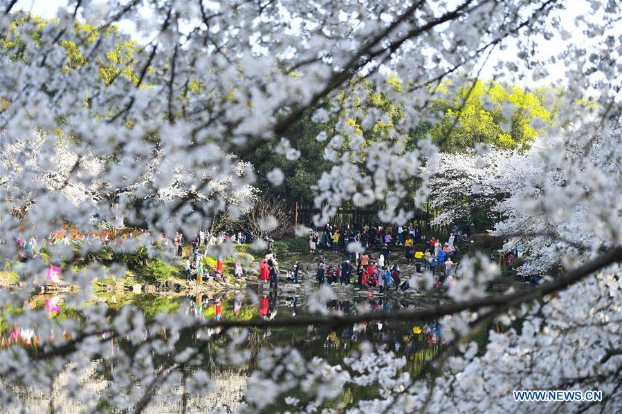 (EcoChina)CHINA-HORTICULTURAL EXPO-HUNAN (CN)