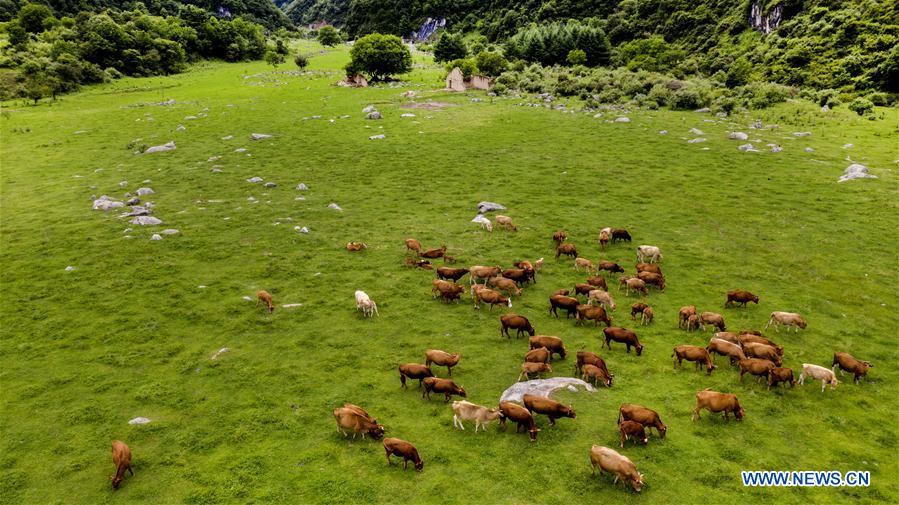 CHINA-SHAANXI-HANZHONG-ZIBAI MOUNTAIN-SCENERY (CN)