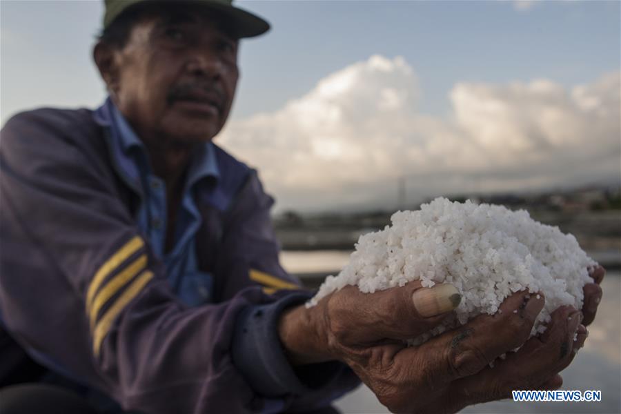 INDONESIA-PALU-SALT HARVEST